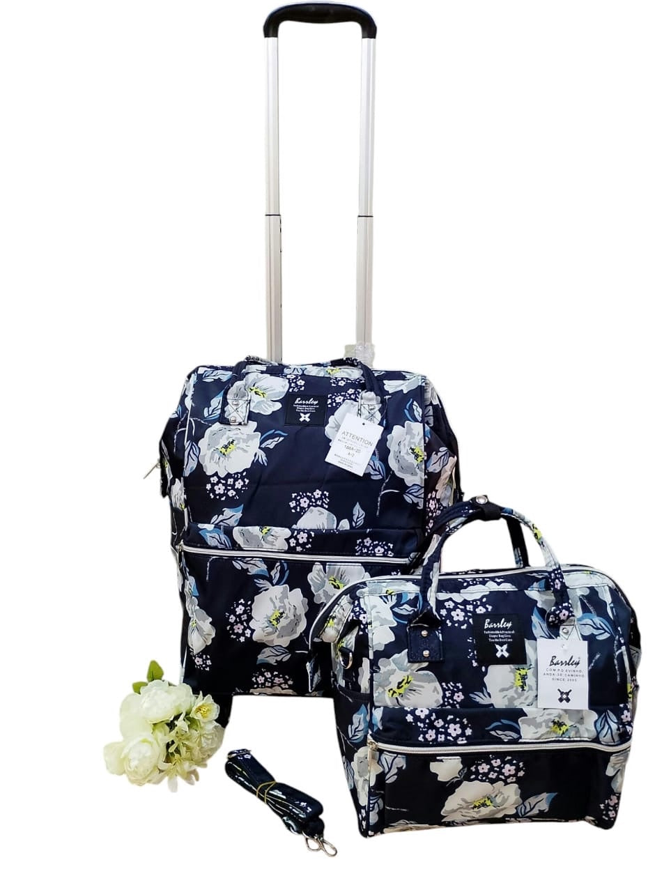 2 piece set trolley bag